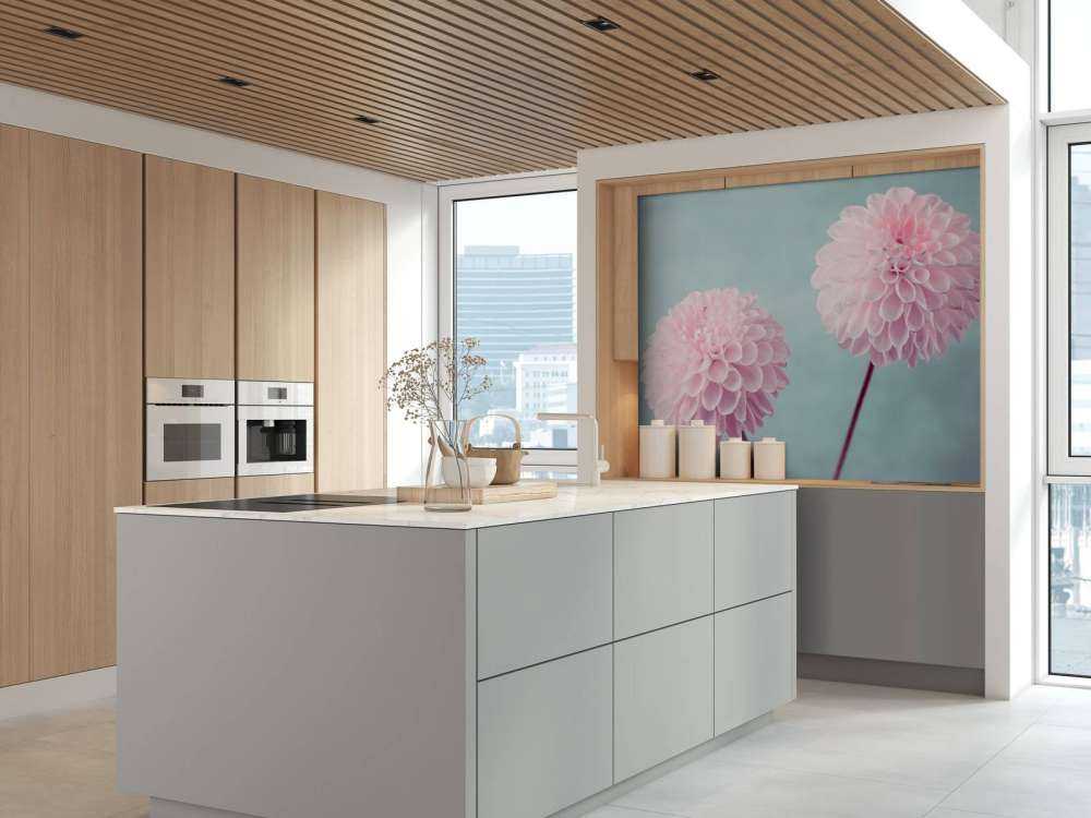 Deux fleurs de Dahlia