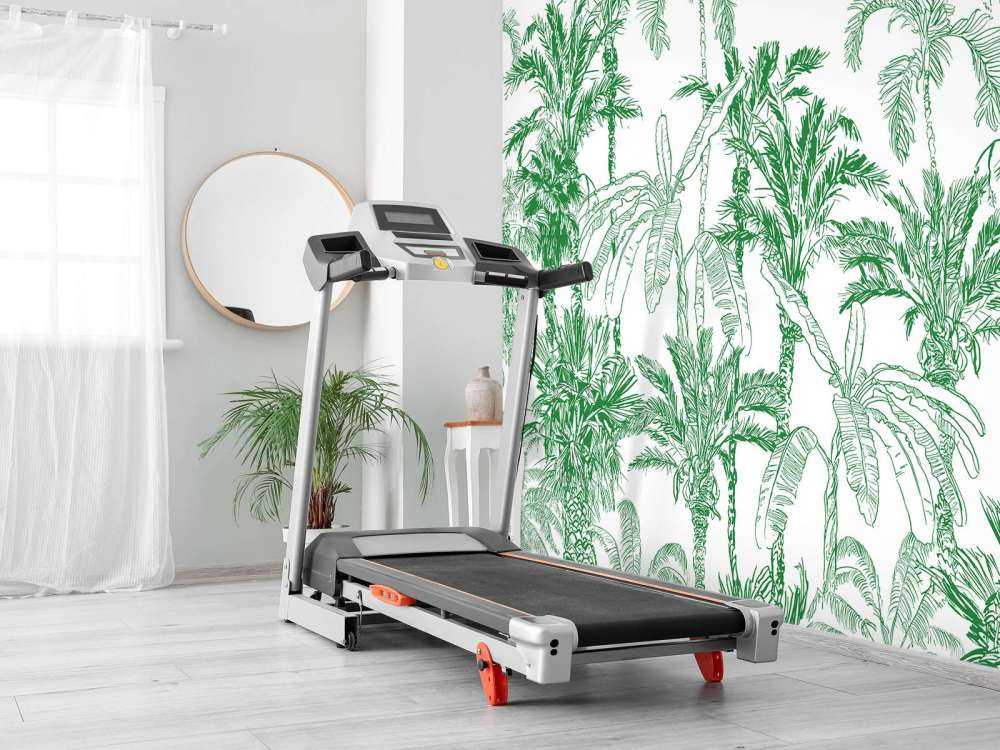 Illustration de la jungle verte