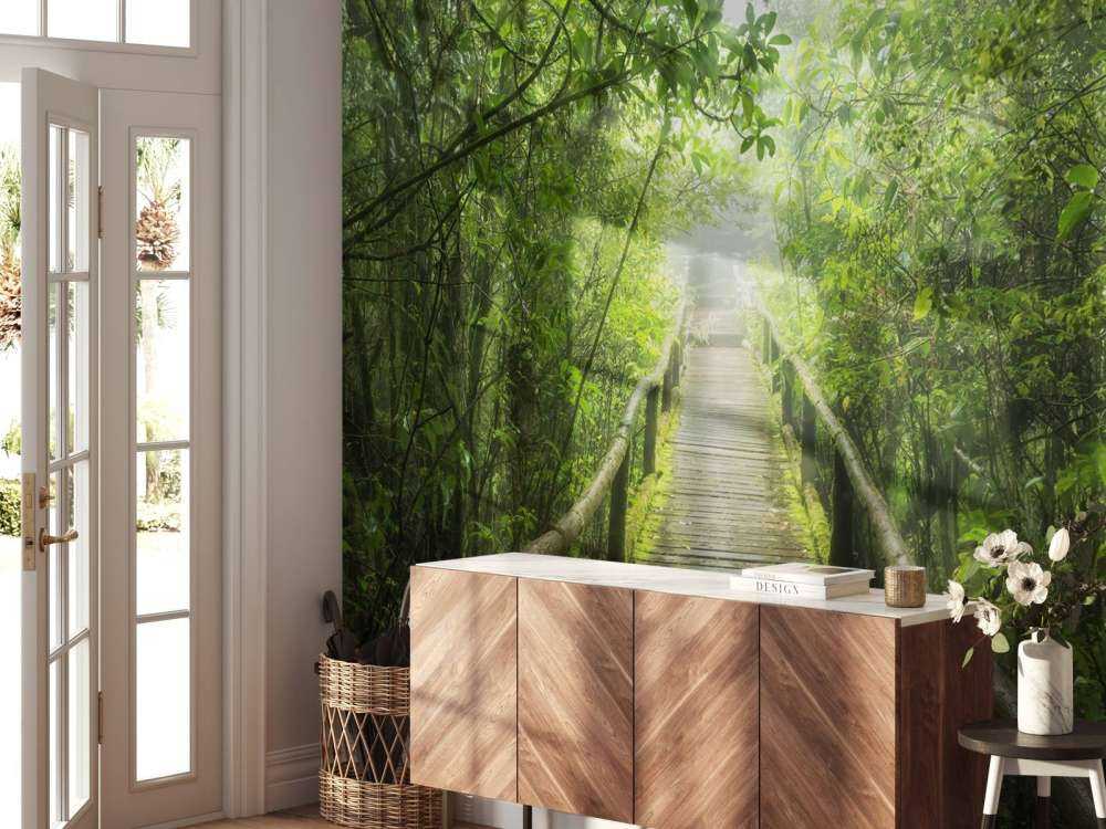 Jungle verte et brumeuse