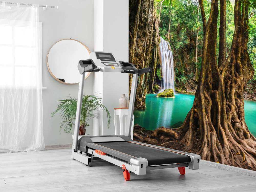 Chute d'eau dans la jungle tropicale