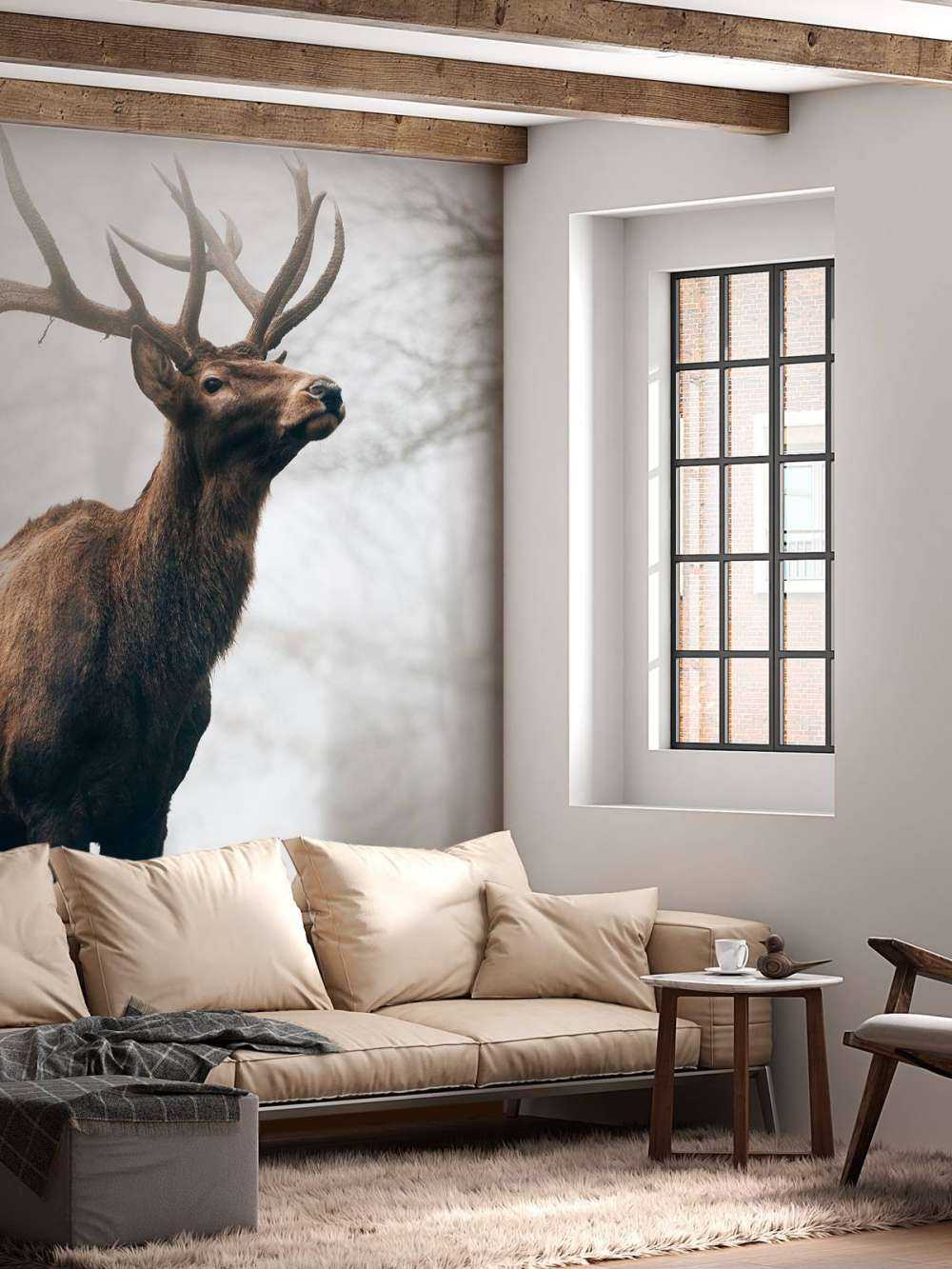 Des rennes dans le brouillard