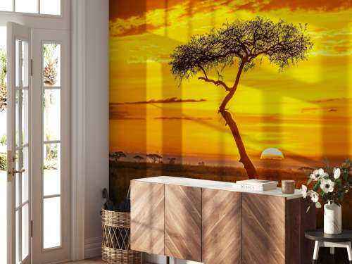 Primordial Africa
