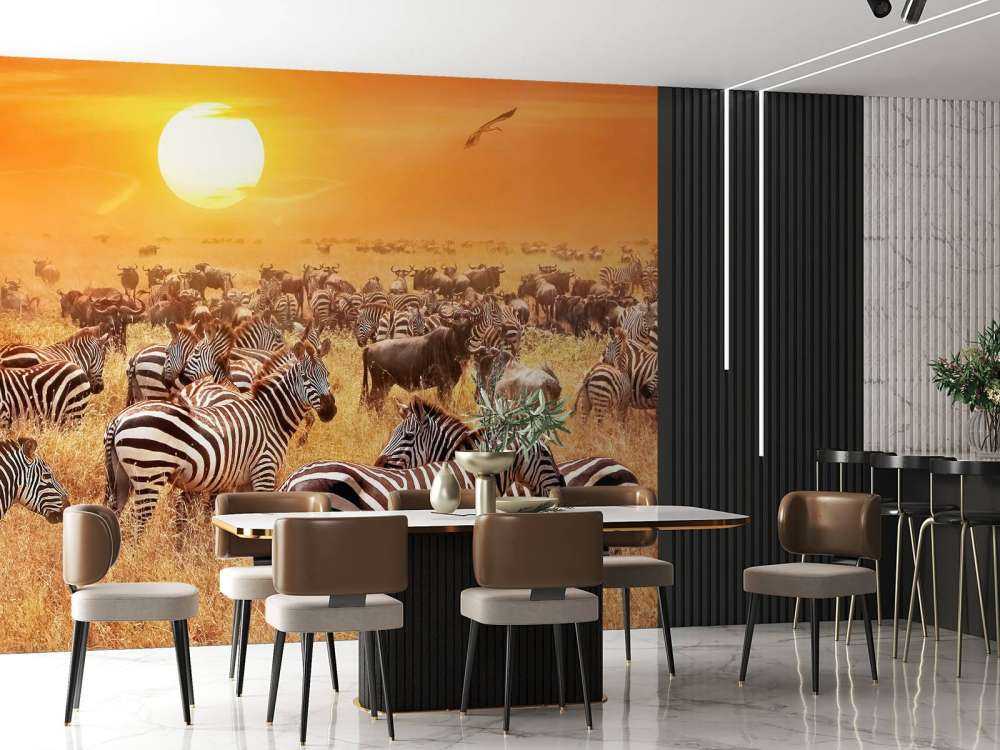 Soleil de la savane avec des zèbres