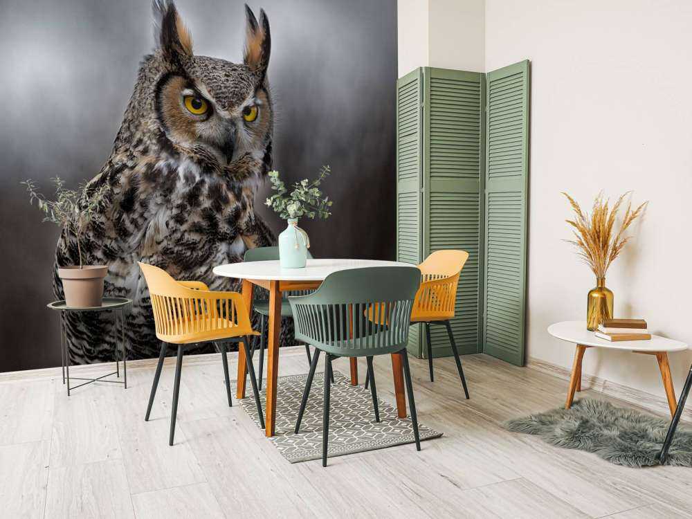 Chouette à plumes brunes