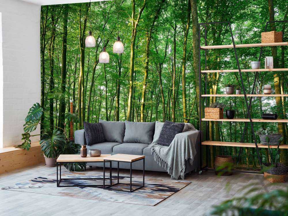 Forêt verte avec lumière du soleil