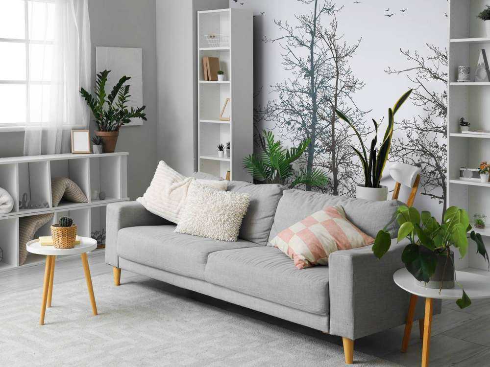 Contour de l'hiver Silence de la forêt