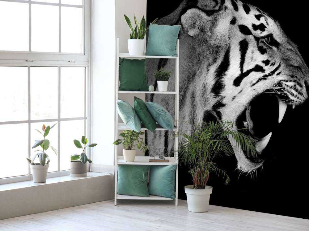 Tigre rugissant noir