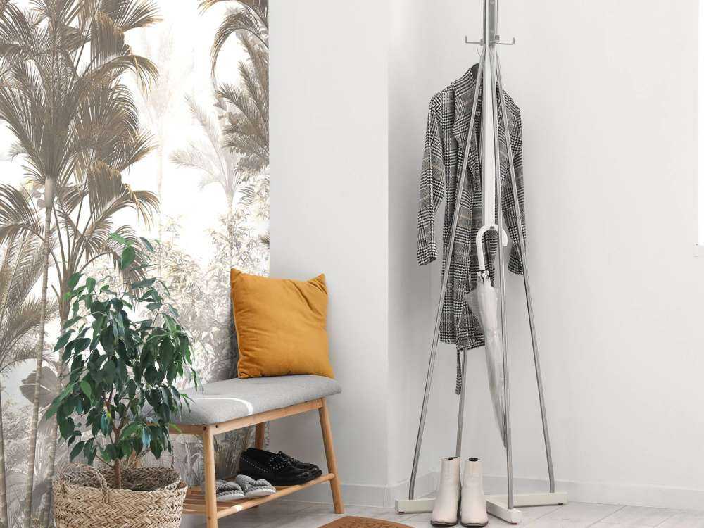 Lumière Solaire à travers les Palmiers