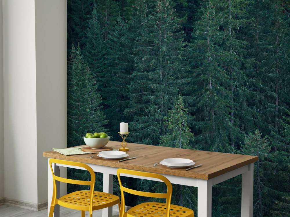 Conifères avec pommes de pin