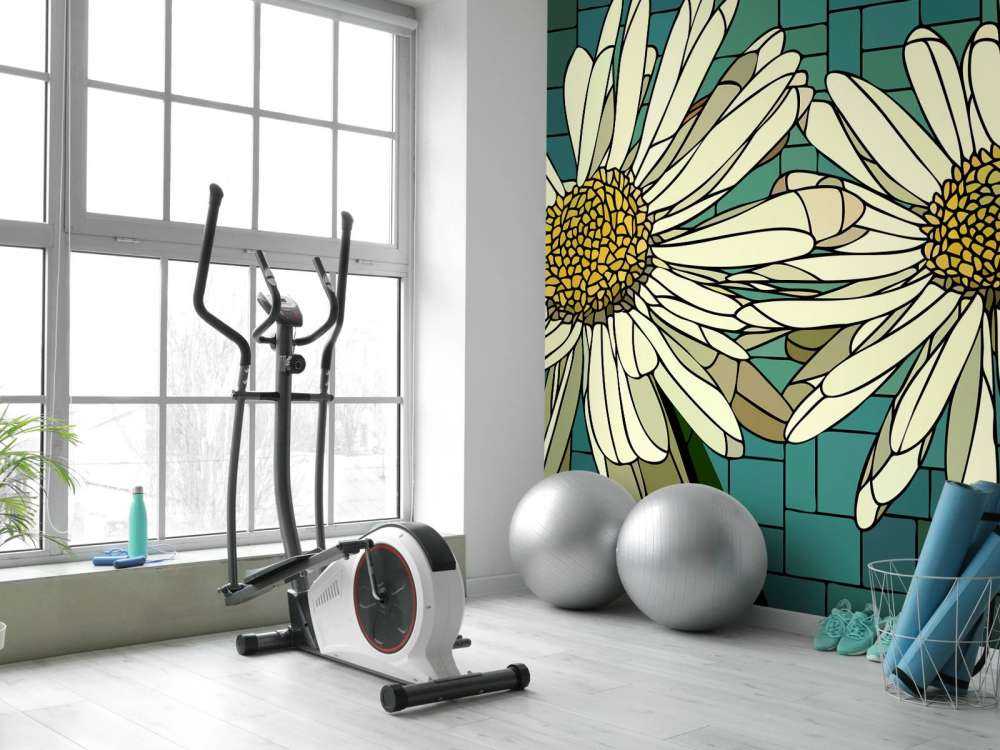 Fleurs de marguerite