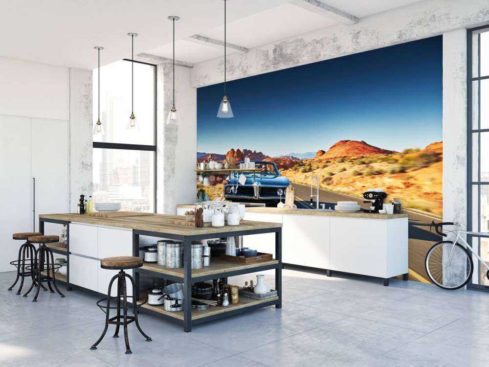 Voiture muscle dans un paysage américain