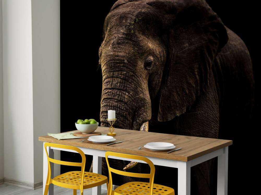 Elephant With Hummingbirds