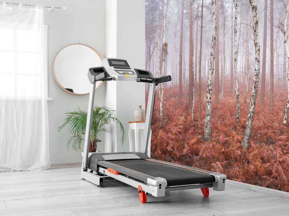 Forêt brumeuse abandonnée