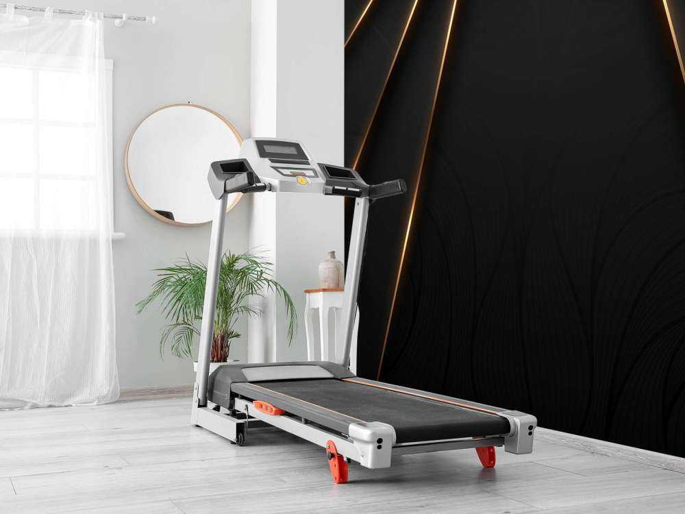 Lignes dorées ornées