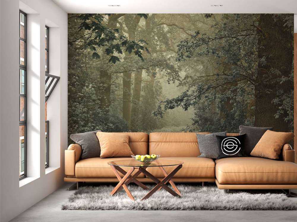 Chemin à travers la forêt avec du brouillard