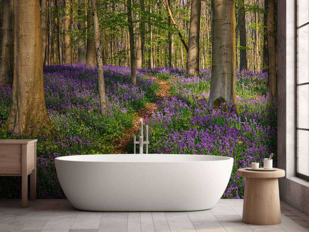 Chemin à travers une forêt avec des jacinthes