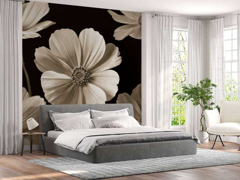 Plusieurs fleurs de cosmos