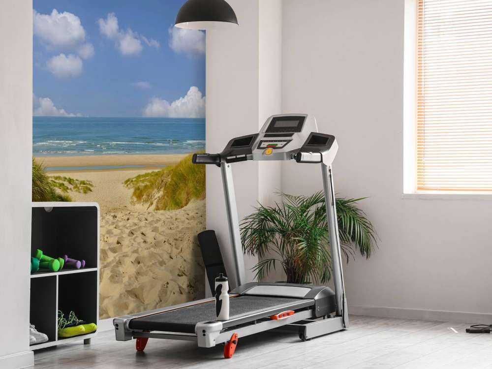 Promenade à travers les dunes