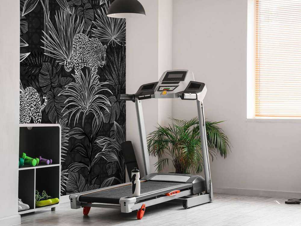 Palmiers et panthères