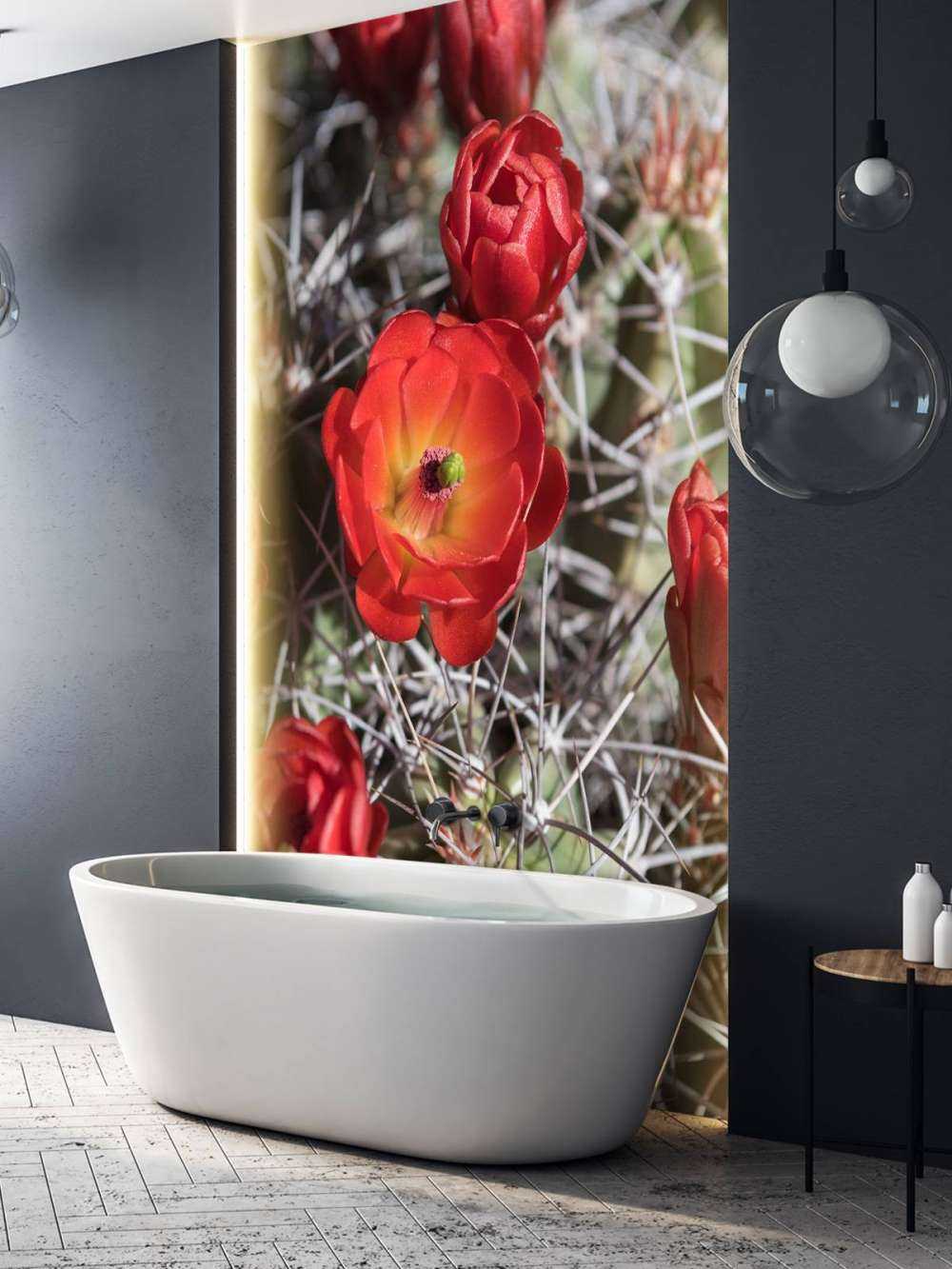 Fleurs de cactus rouge