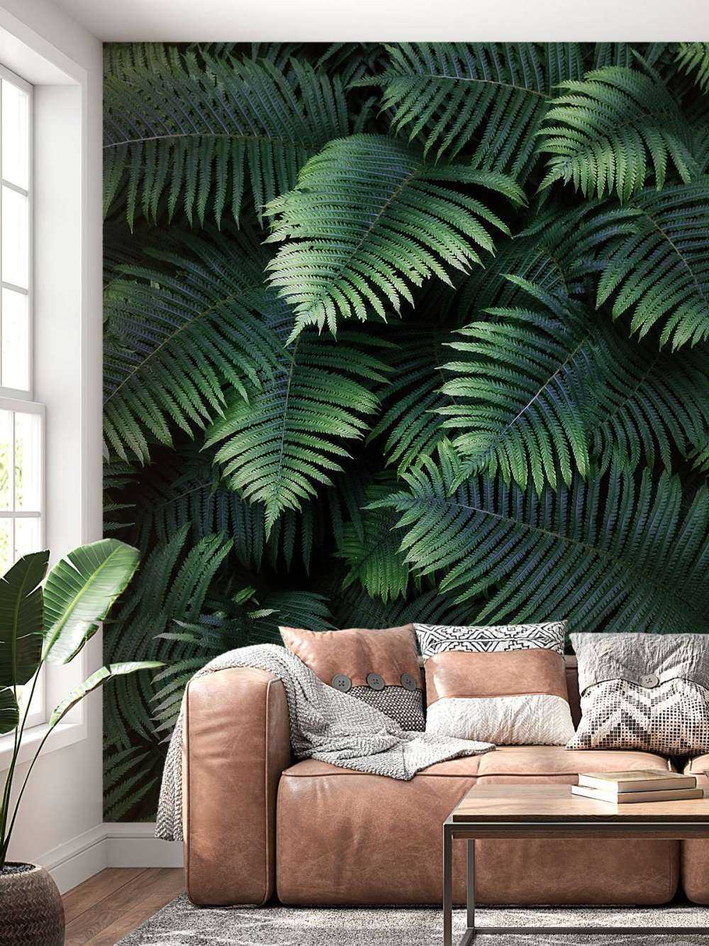 Grandes feuilles de palmier