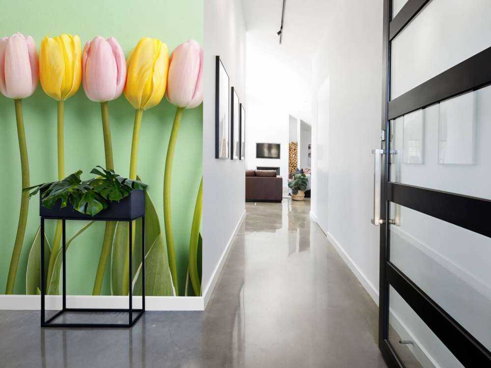 Tulipes sur fond vert menthe