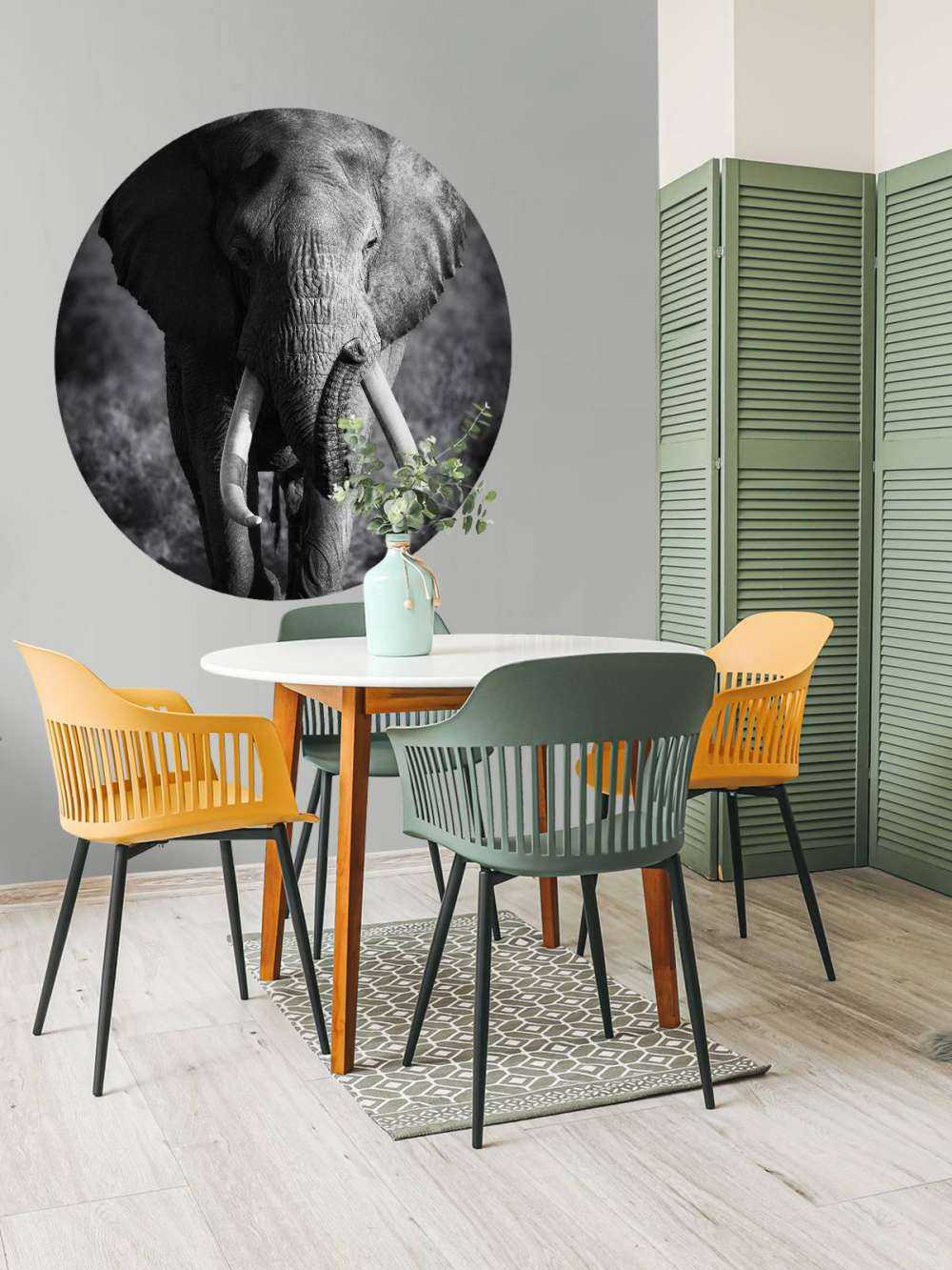 éléphant d'Afrique