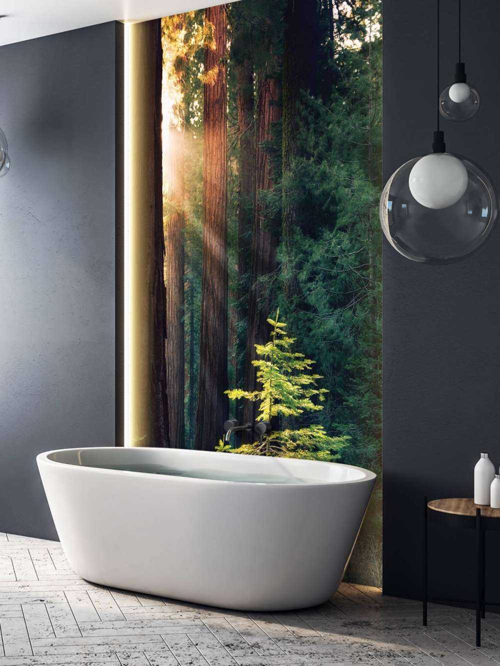 Lumière du soleil entre les acajous