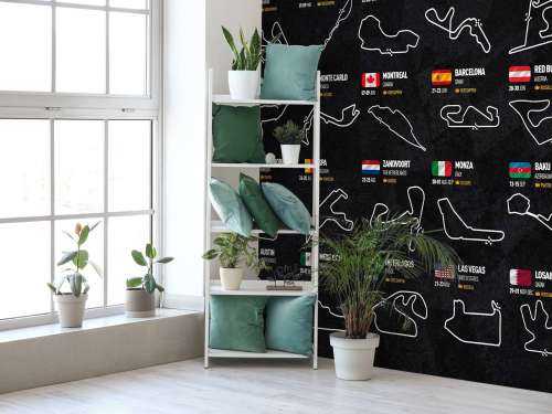 Formule 1 2024 - Carte des gagnants