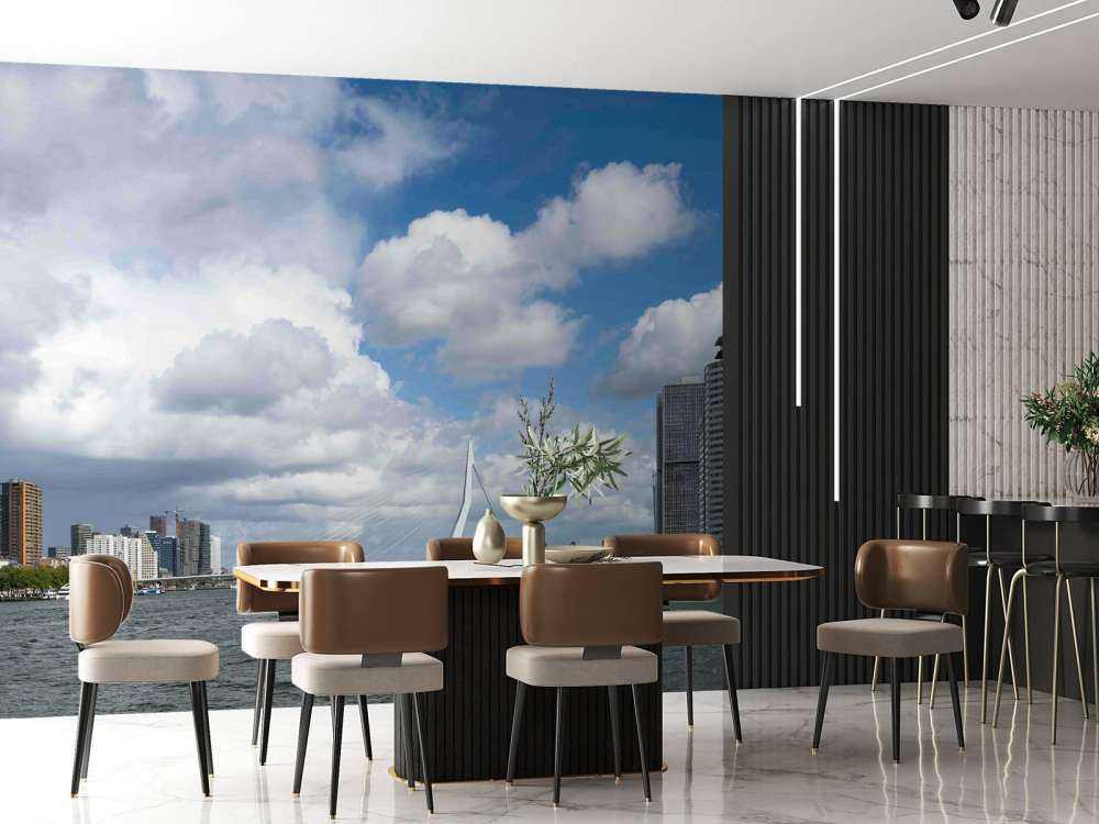 Vue de la ville avec le pont Erasmus