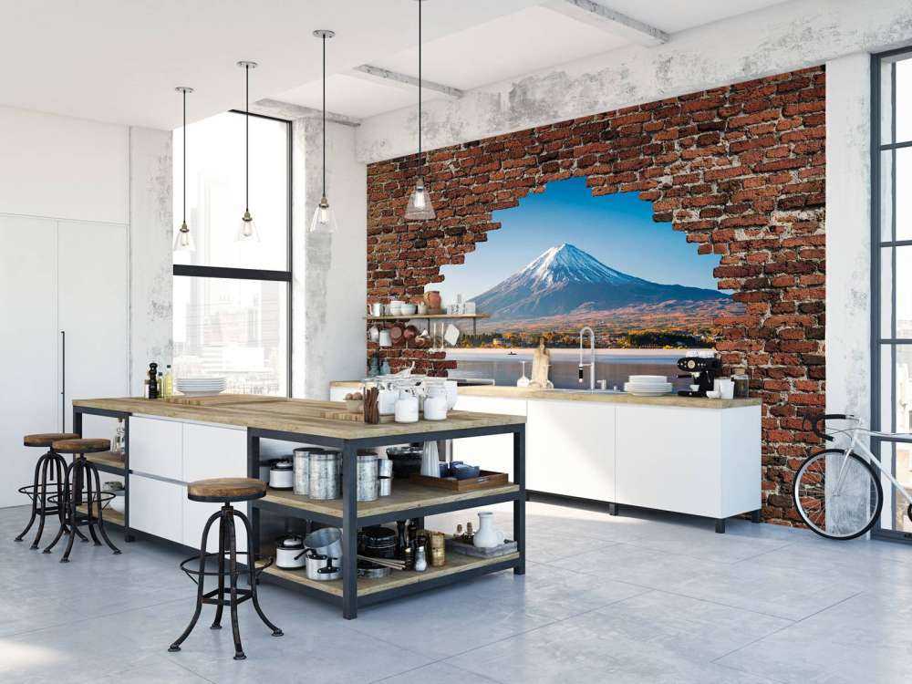 Vue sur le mont Fuji