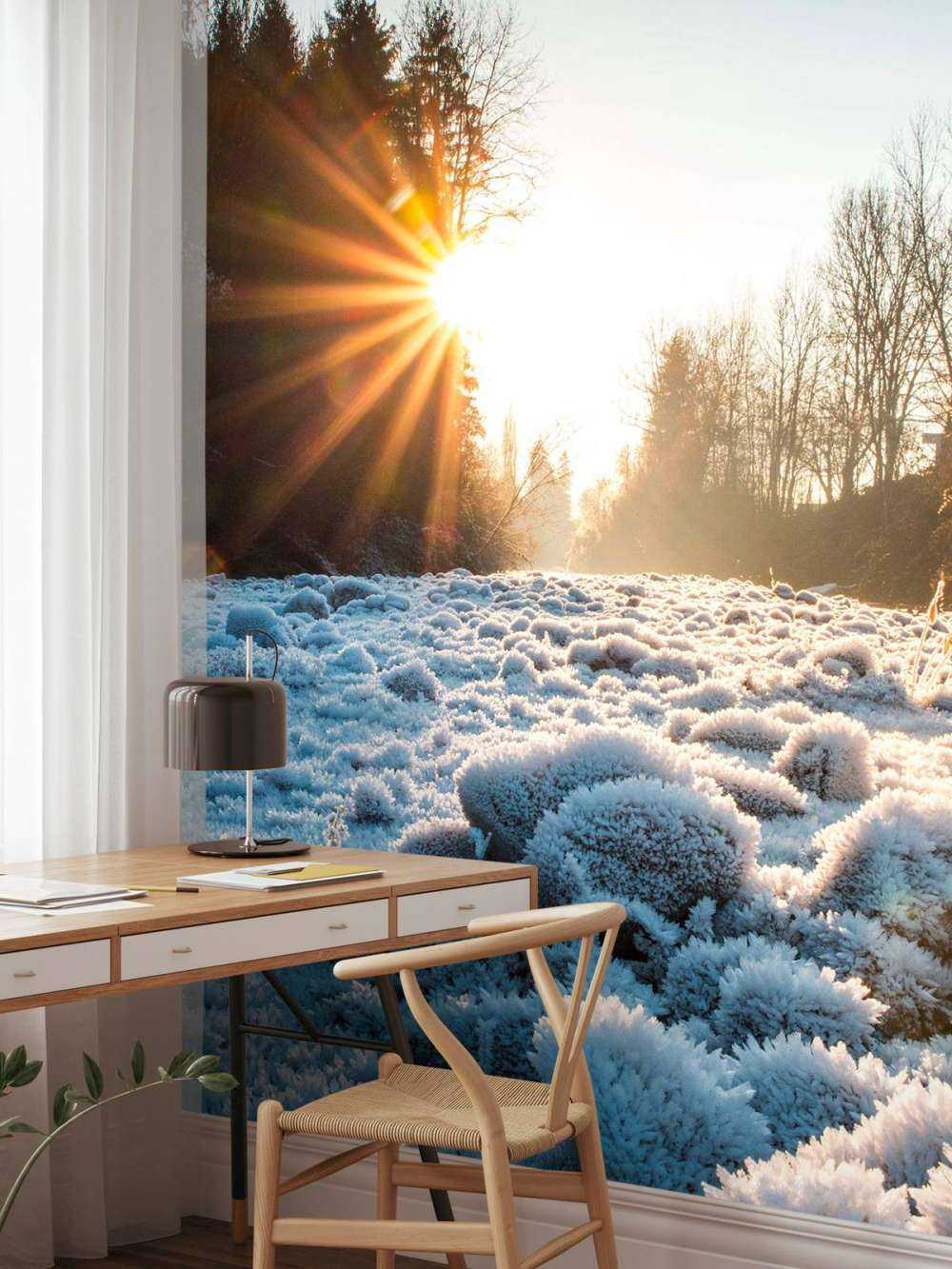 Matin glacial dans la forêt d'hiver