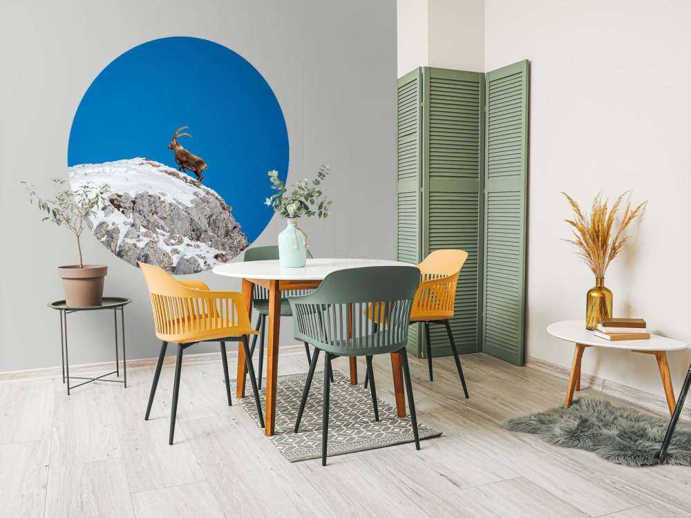 Steenbok sur un pic rocheux enneigé