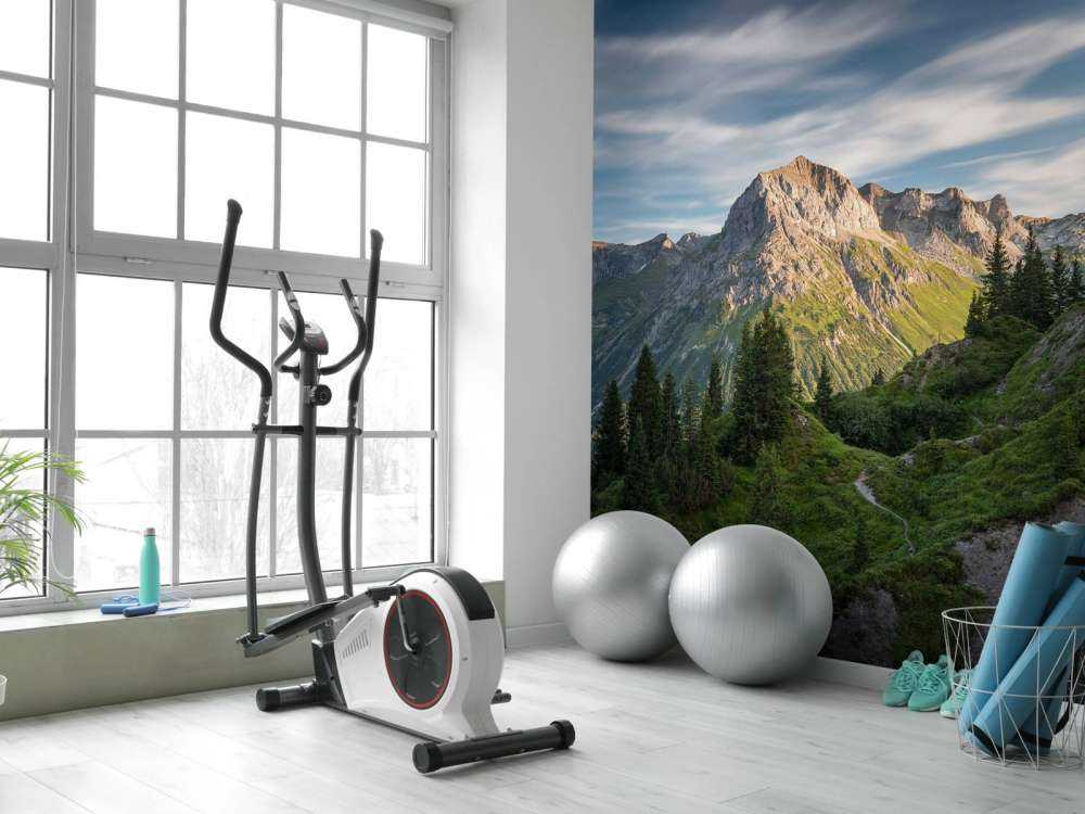 Soleil du soir sur les sommets alpins