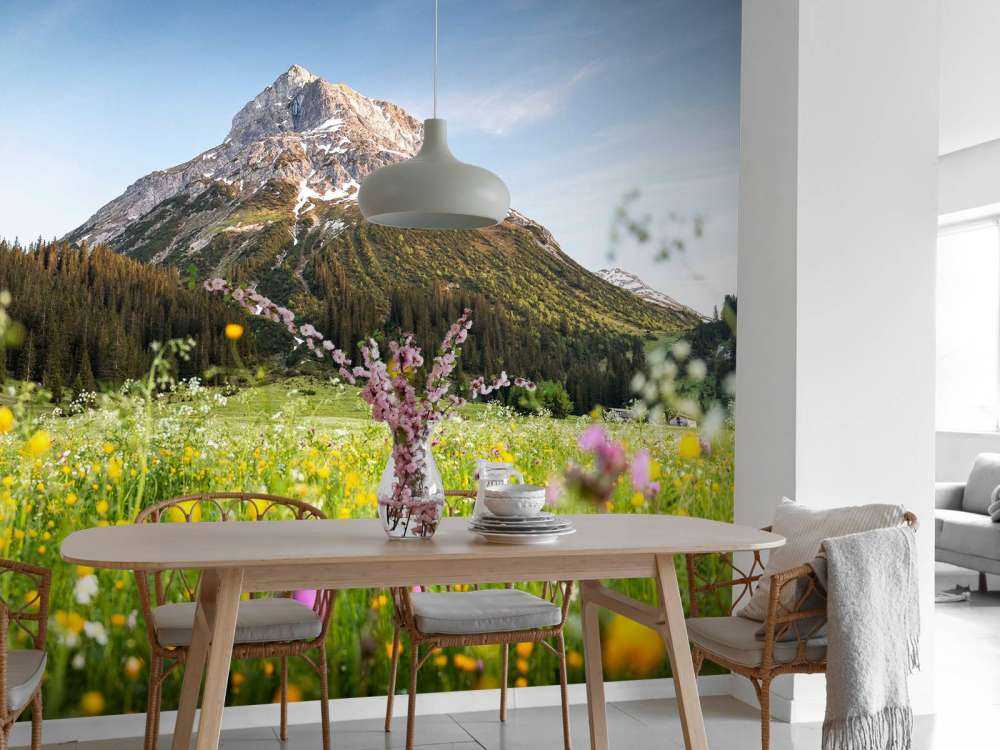 Sommet de la montagne au-dessus de la prairie de fleurs