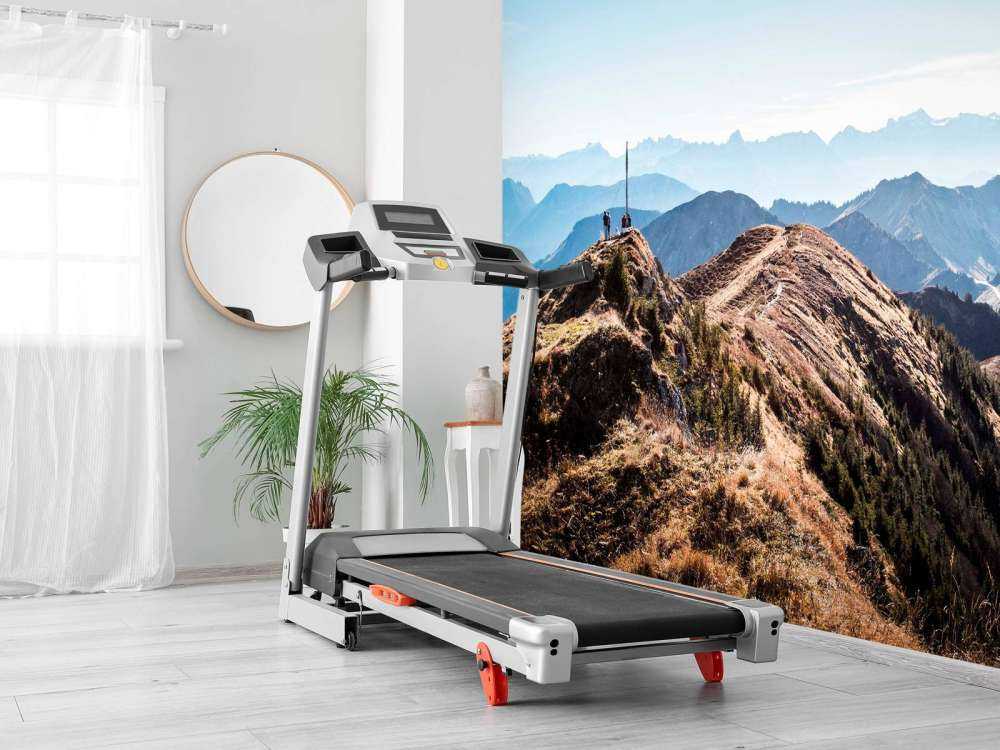 Matin d'automne sur la crête de la montagne