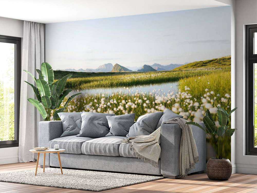 Lumière estivale sur un paysage tourbeux fleuri