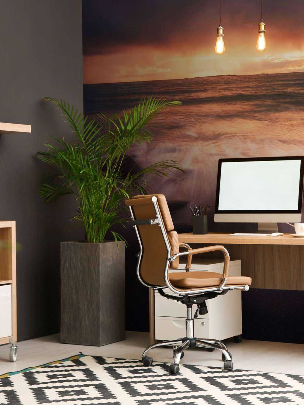 Lueur du soir sur la côte rocheuse