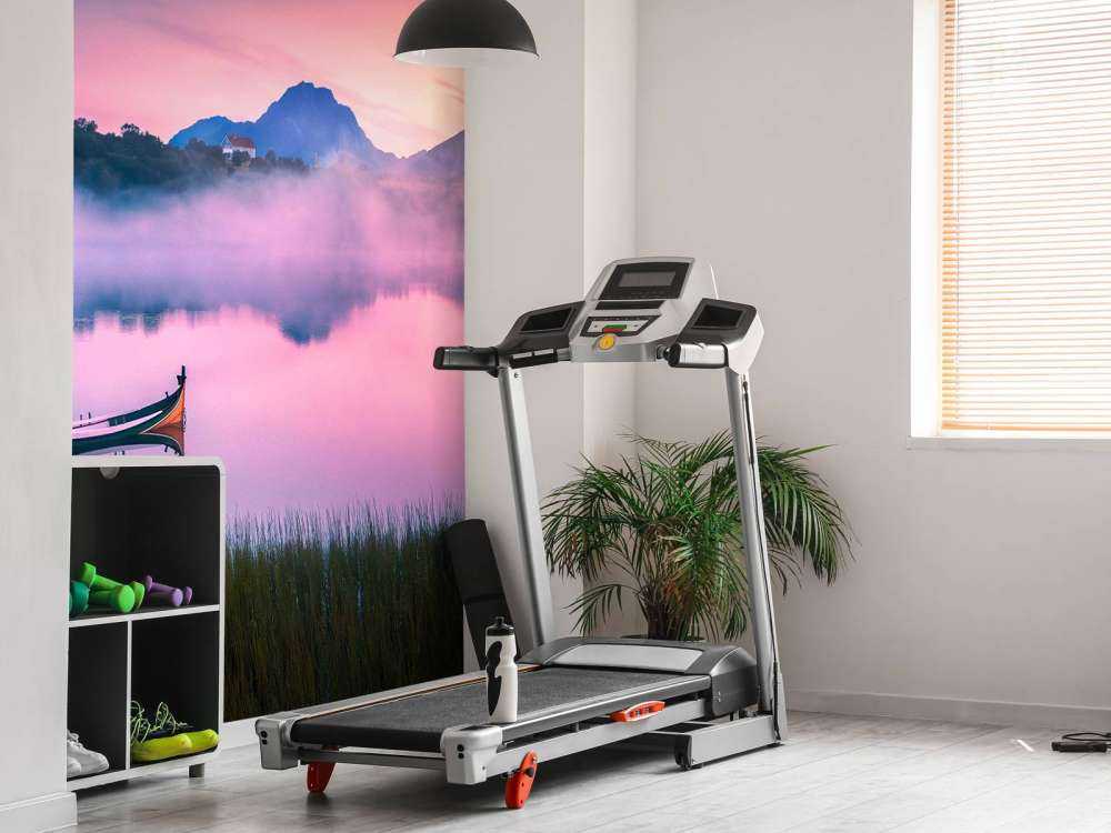 Lever de soleil brumeux au lac