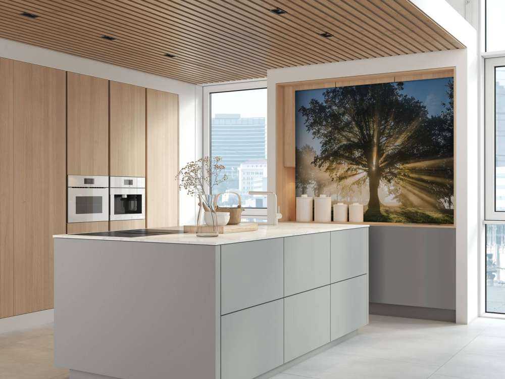 Rayons de soleil à travers le Vieux Chêne