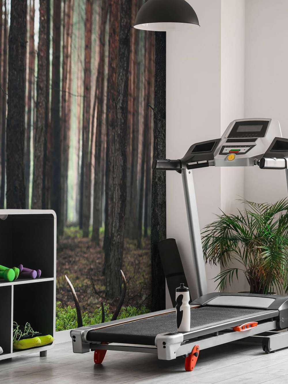 Sauvage&#x20;et&#x20;Myst&#xE8;re&#x20;entre&#x20;les&#x20;Arbres