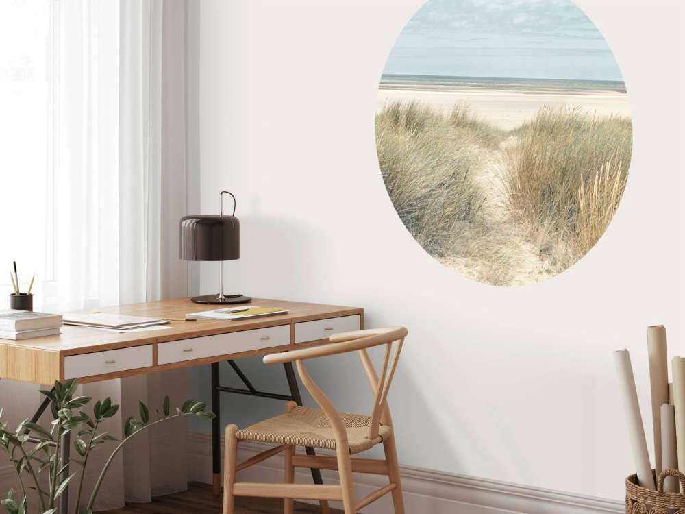 Dunes de sable herbeux sur la côte sous un ciel bleu