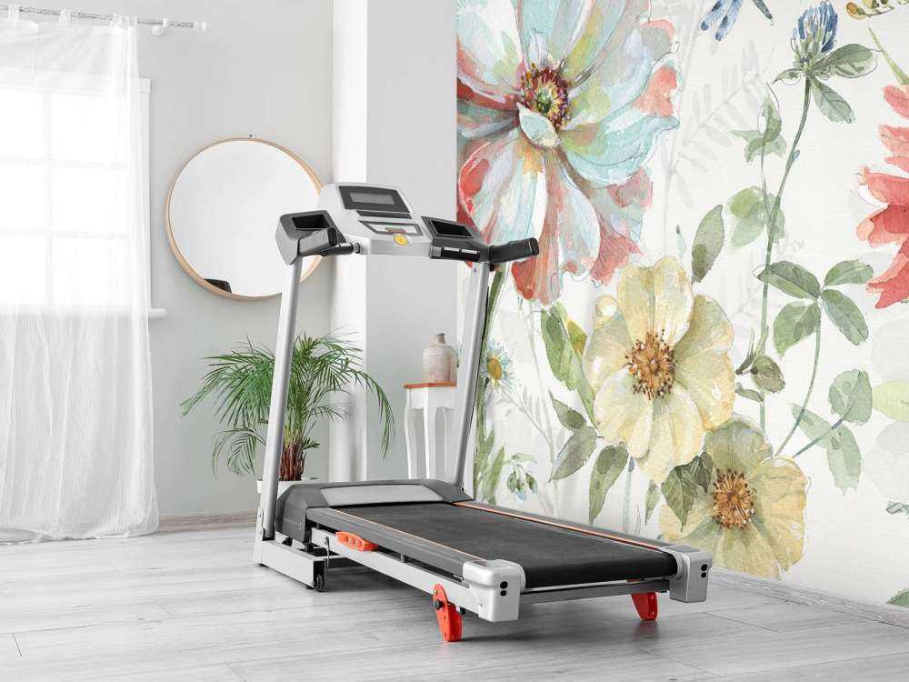 Prairie de Printemps II