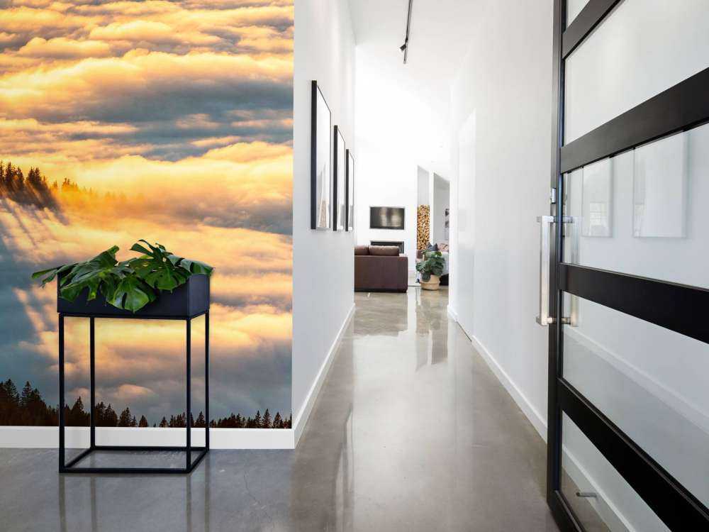 Lumière du soleil sur une forêt de montagne enneigée