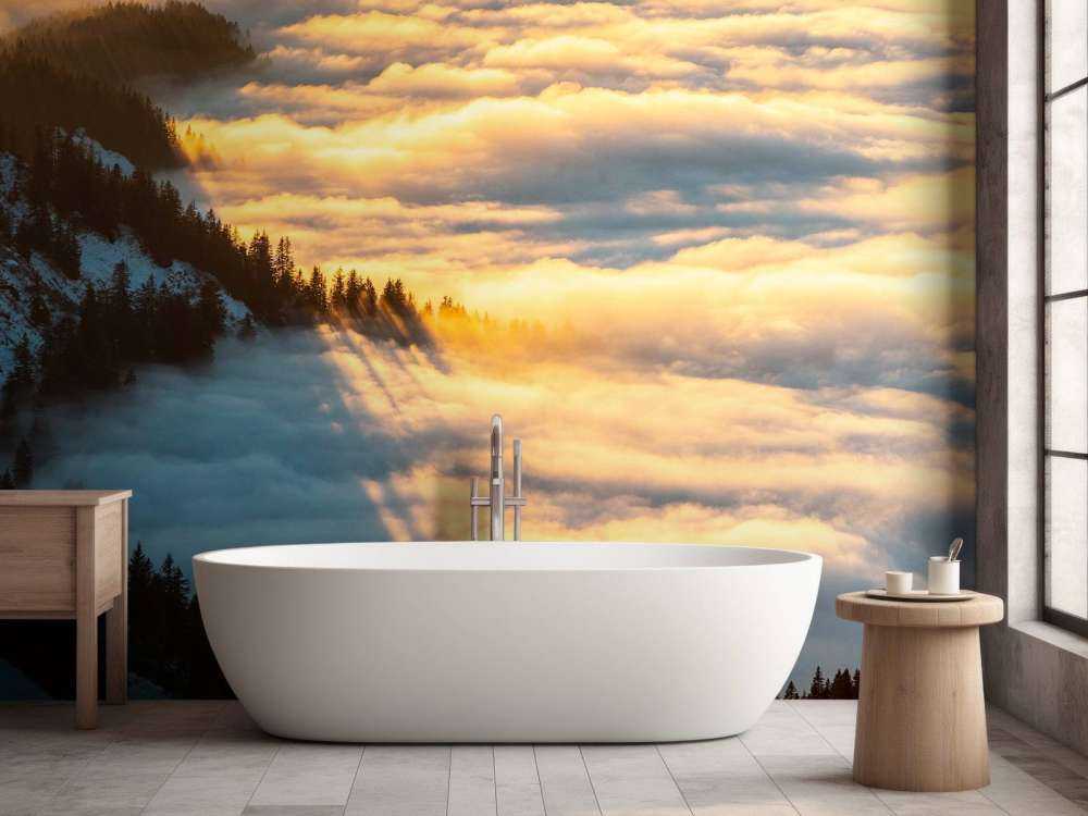 Lumière du soleil sur une forêt de montagne enneigée