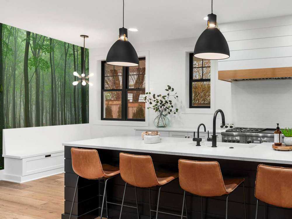 Brouillard dans la forêt