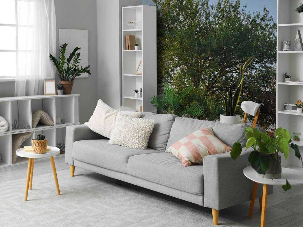 Arbre solitaire sur la lande