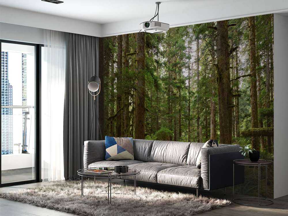 Forêt verte sauvage