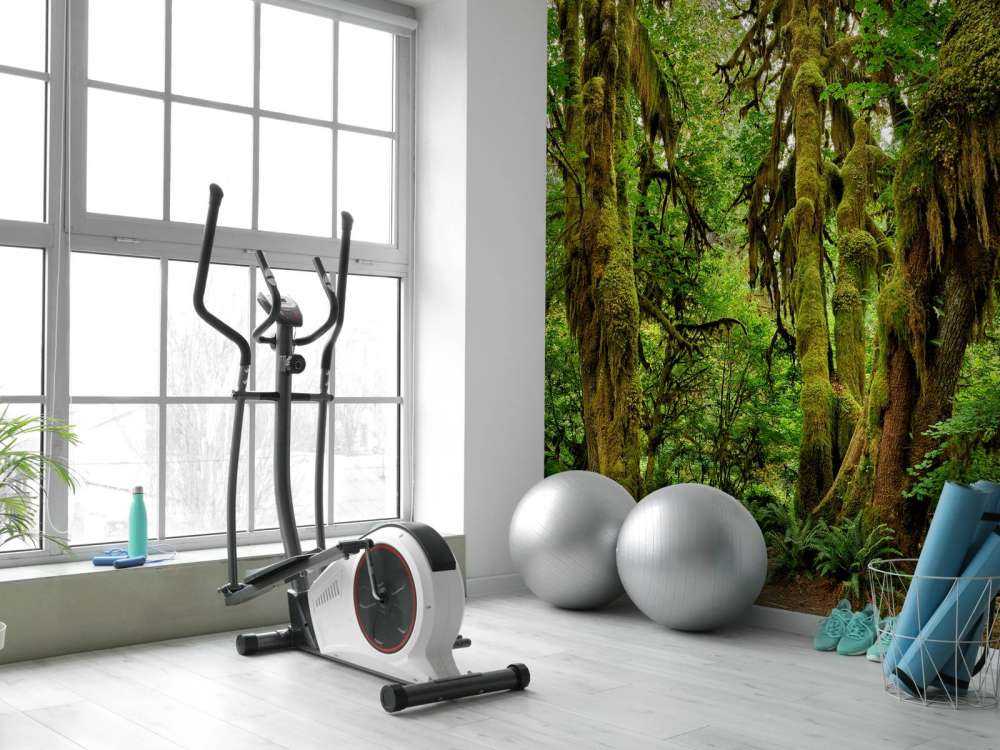 Ancienne forêt sauvage