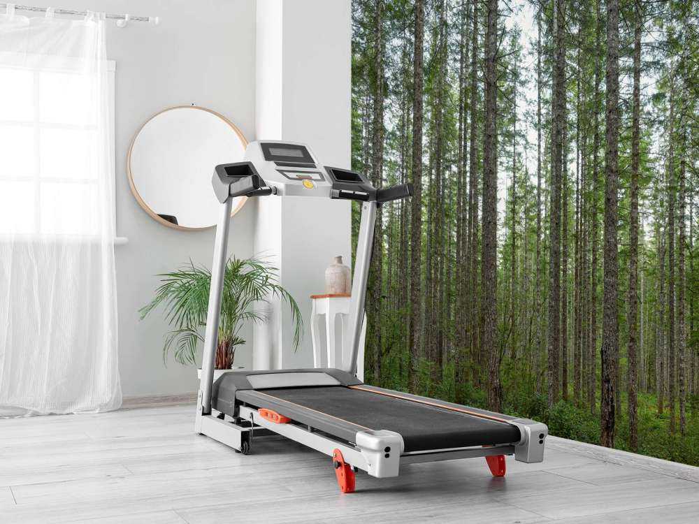 Arbres hauts et droits